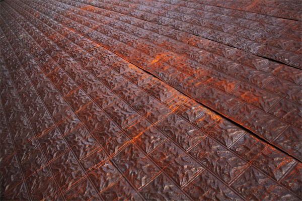 Photo courtesy of Anna Dutka