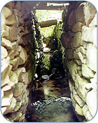 Rock Culverts & Railbed Trail Image